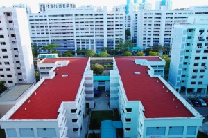 IMG_0153 copy