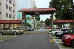 IMG_0223 copy