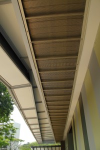 IMG_2565