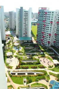 IMG_2782 copy