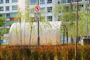 IMG_2795 copy