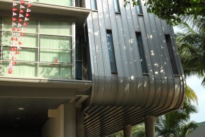 IMG_4446 copy