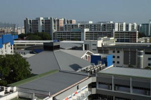 IMG_4510